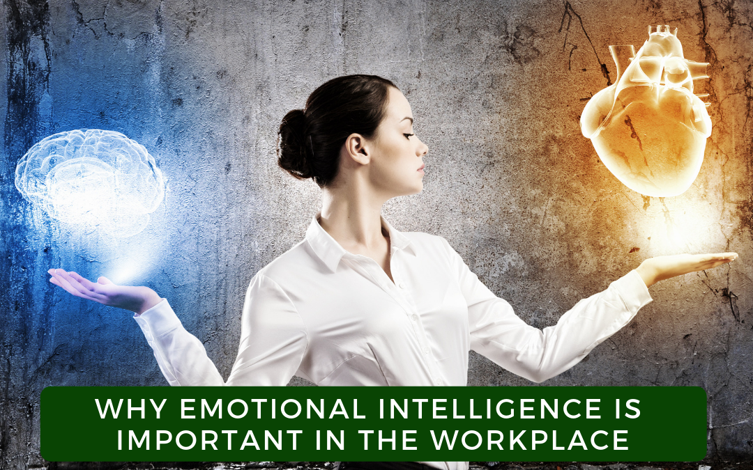 The Importance of Emotional Intelligence in the Workplace post thumbnail image