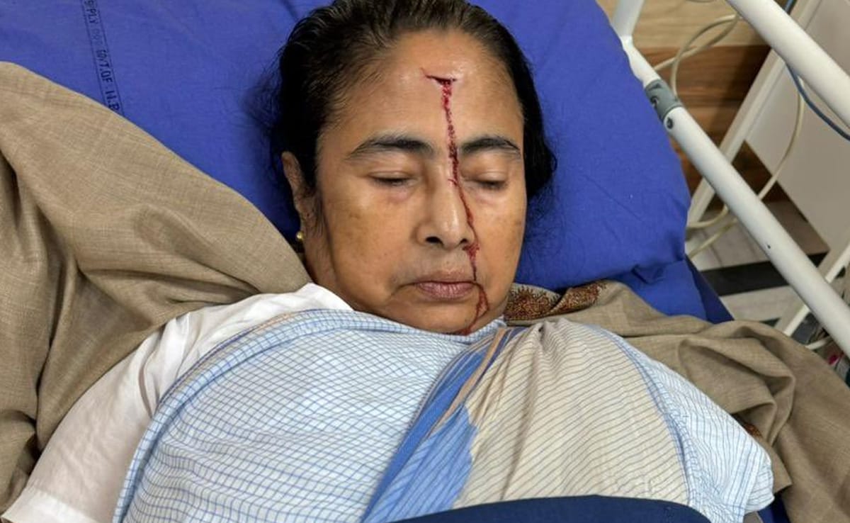 Mamata Banerjee Injury, Age, Bio, Family , Husband or more